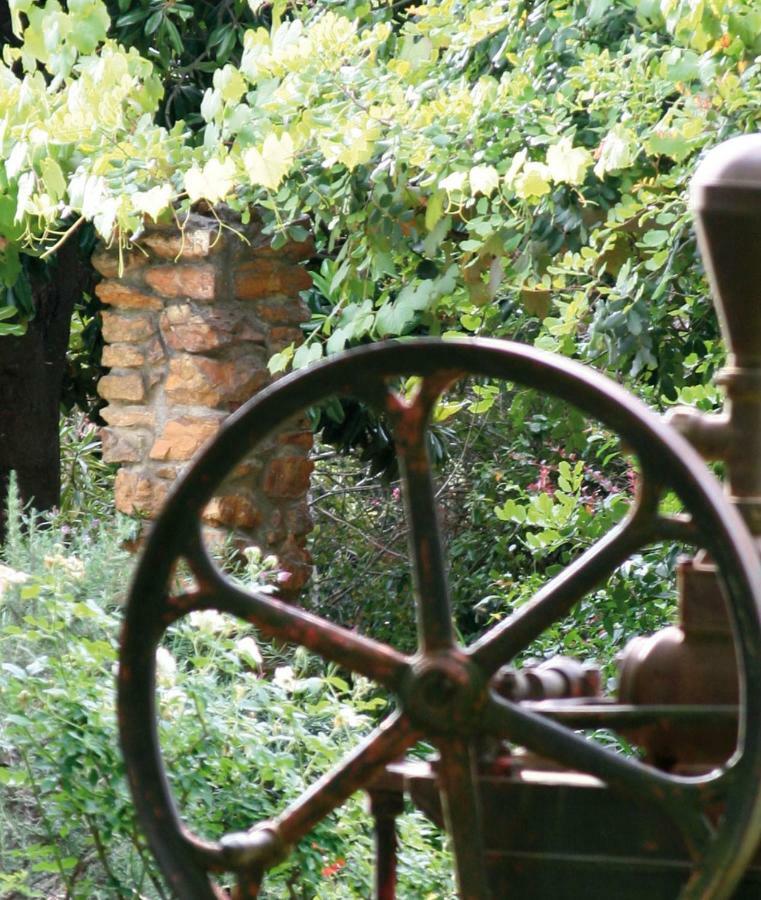 Апартаменты Mooiplaas Wine Estate Стелленбос Экстерьер фото